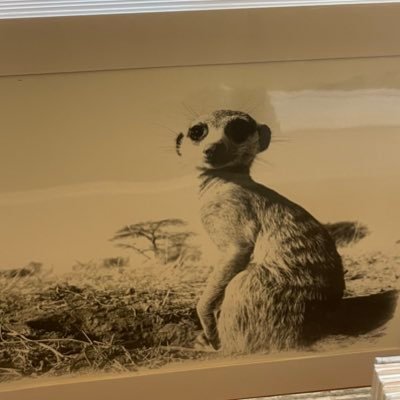 Inesvdh_c's profile picture. 