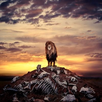 Buns_Boots's profile picture. 