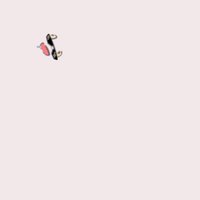 tetooooooooooooooooooooooooooooooooooooooooooooooo (@teto_fnc) 's Twitter Profile