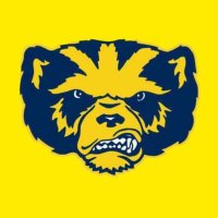 Jake B 〽️ (@michfootballbel) Twitter profile photo