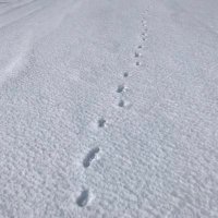 あこ𓅹 (@zjbbe) 's Twitter Profile