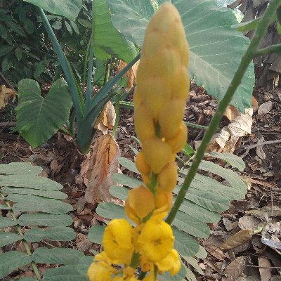 Major_Etex's profile picture. VERY BIG ON GOD