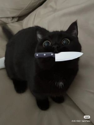 2555978c3c71618f55650c122c32d4d9
