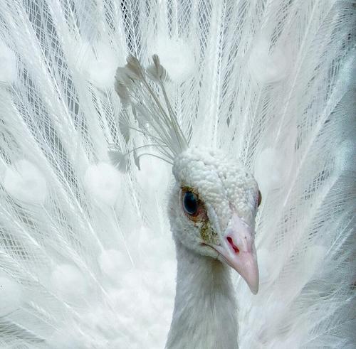 TLozinska's profile picture. ...me gusta mas los sueños del futuro gue la historia del pasado.Prefiero vivir un dia en la Tierra gue cien años en la historia...