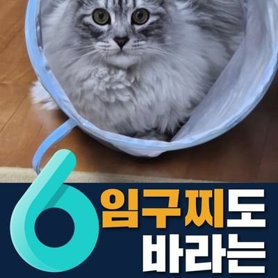 돌이켜보면 항상  문파가 옳았다! 문파님들을 존경합니다^^문파님들과 한공간에 있는게 행복한 깨알문파♥  아직도 털보.지누.똥형.시민.추 믿니??