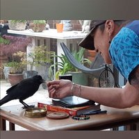 Beverley Macdonald. aka Bevvy. (@beverleyba65) 's Twitter Profile Photo Beverley Macdonald. aka Bevvy. (@beverleyba65) 's Twitter Profile Photo