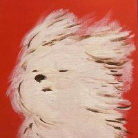 Sellobello (@babytilki) 's Twitter Profile Photo Sellobello (@babytilki) 's Twitter Profile Photo