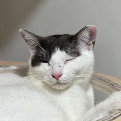 CodeColdbrew's profile picture.