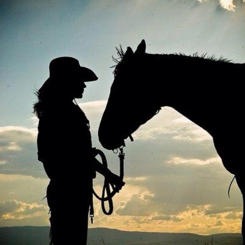 kapenny's profile picture. Christian, Retired CFO, dog rescue/foster mom, tennis is life.