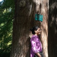 ghazala shahabuddin (@ghazalasha7432) 's Twitter Profile