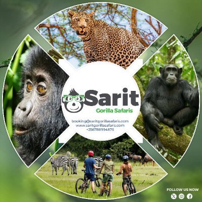 SG_Safaris Profile Picture
