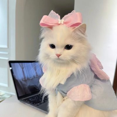 taespvt's profile picture. It's okay to move slowly, as long as you don't stop.

suga, you are the brightest star i've ever laid my eyes on