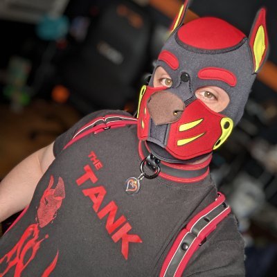 LGBTQIA+ variety PC & Console game streamer that plays Co-ops and RPGS. Come join in the shenanigans 

Ad Twitter @Pup_Twilight