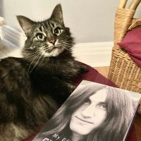 Reading With Cats(@ReadingWithCats) 's Twitter Profile Photo