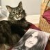 Reading With Cats (@ReadingWithCats) Twitter profile photo