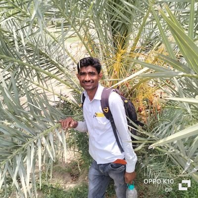 JethaRam595468's profile picture. Jetha