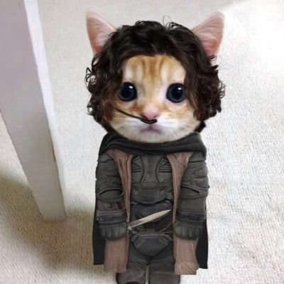 electronicsheep's profile picture. //if I could be who you wanted, all the time//