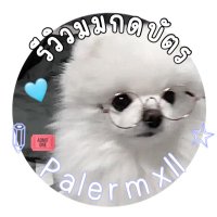 รับกดบัตร🎟️ | รับกรอกฟอร์ม(@palermxll) 's Twitter Profile Photo