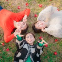 #ハモスイ (@harmonic_suite) 's Twitter Profile