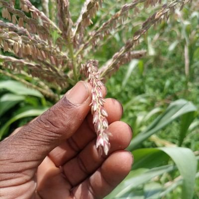 Je suis dans le domaine de l'éducation, mais je suis aussi intéressé et passionné par tout ce qui touche le secteur agricole et numérique.