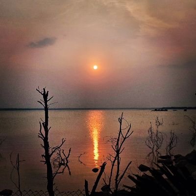 madhurivanamala's profile picture. Student in Electrical Dept.😎..Foodiee.. Work until  ur name becomes a brand✌