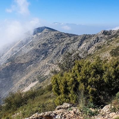 Última hora sobre los fenómenos meteorológicos e incendios forestales en Mijas y la provincia de Málaga. Mantente al día con #MijasMeteo 🌧📸⛰️