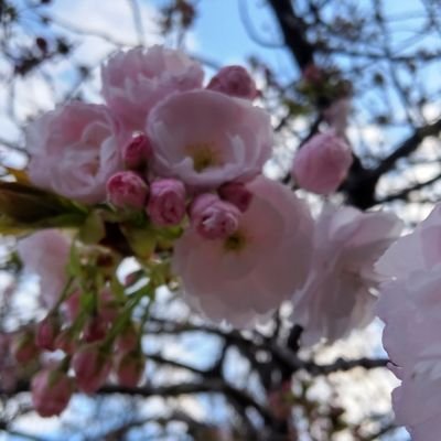 makoto_3_2_1_0's profile picture. キャラメルボックス、Studio Life等のお芝居関係から旧Ｊ＆スタエンいろいろ…そしてEBIDANと日々推しが増え続けています💦