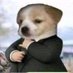 Fassj (@fssjss) Twitter profile photo Fassj (@fssjss) Twitter profile photo