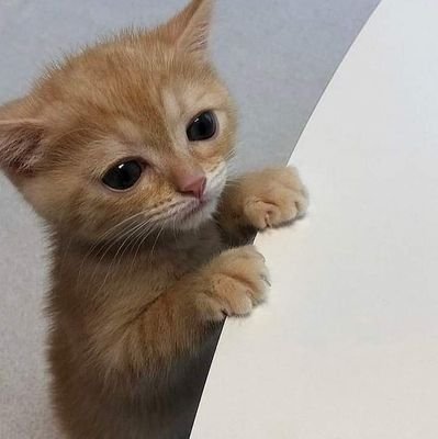 Elsa48141296's profile picture. 