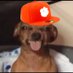 c (@thefilmtiger) Twitter profile photo c (@thefilmtiger) Twitter profile photo