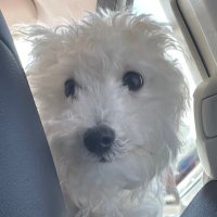 ToG Kractive (@kractive_fgc) 's Twitter Profile