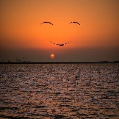 Olduğum gibi olmayı seviyorum...
Sevdiğiniz gibi olmasamda.🙂