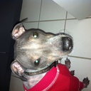 Miles Bowers - @MilesBowers4 - Twitter