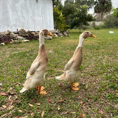 mm70837's profile picture. Why are you lookin at this you nosy fucker?🖕