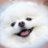 pさんのプロフィール画像