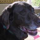 Don Moss - @platomoss1 - Twitter