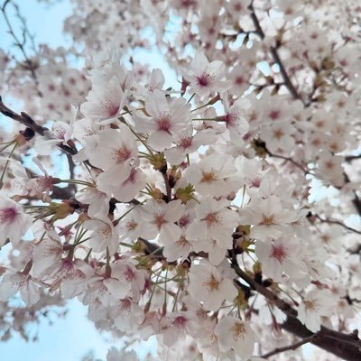 bottomsUPPER's profile picture. on PreP, fully vaccinated. into dad bods and daddies; into married guys; muscled; cum eater; 69; men in uniform; juts & daks are welcome