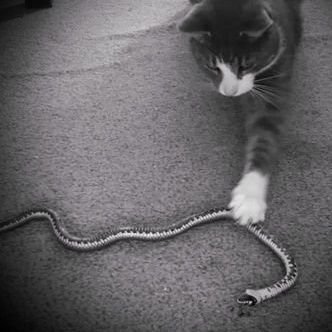 XbyMRL's profile picture. An eye for an eye makes the whole world blind.