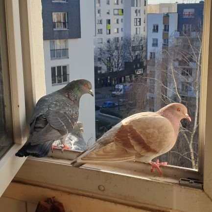 Parisien, explorateur de paysages urbains et naturels, sidérophile. Ici pour partager cela et aussi des réalités crues de ce monde à transformer ensemble.