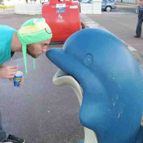 A Kiwi looking to work on his ice skating...