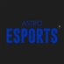 Astro Esports (@AstroE_Sports) Twitter profile photo