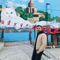 Nihat Kitapcı (@nihatkitapc) 's Twitter Profile