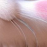 antedim's profile picture. You have only one life!