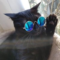 yuhei (@bassstar9) Twitter profile photo
