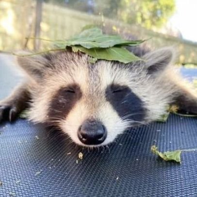 buuuuurp