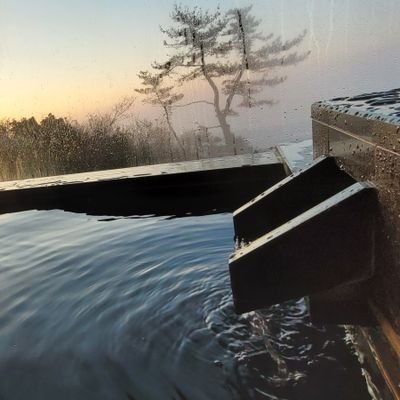 のんびり気ままに呟きます。温泉♨️、グルメ🍽️✨大好き💕 懸賞が趣味でマイペースにポチポチ応募しています😃