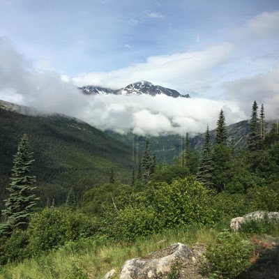 JackyBetsStuff's profile picture. yuh