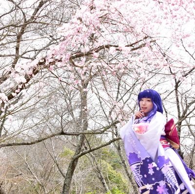 いと⛩シリカゲルとむらさきいも