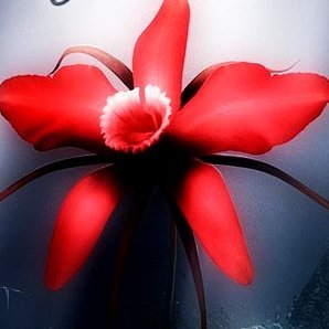 Cinder305522385's profile picture. ESC, Käärijä, Nightwish