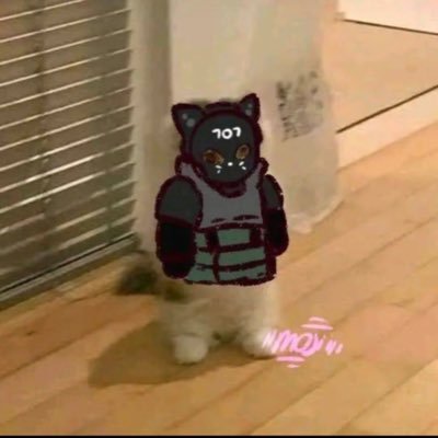 AntsssIsTaken's profile picture. Up and coming Rainbow Six Siege streamer and player